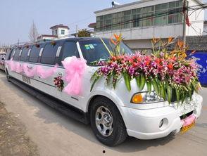 南宁租车爆料最新消息,揭秘价格波动与热门车型排行  第3张